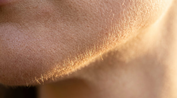 Cambia la textura